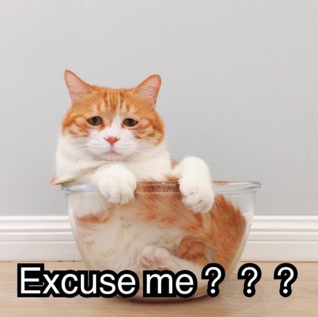 表情包  excuse me