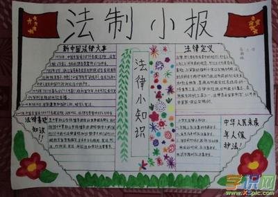 小学 法律法规手抄报