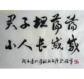 《 孔子语录:君子坦荡荡…》书法---草书