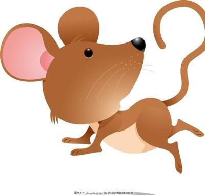 河马 猴子睡觉 动物老鼠 老鼠动物 2020年 老鼠微信头像 高清可爱的