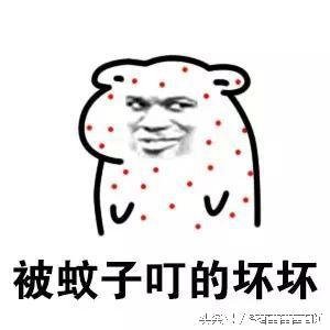 小 坏坏表情包全集!坏死了.