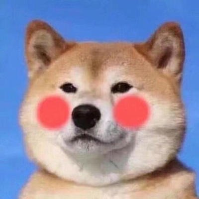 柴犬和猫的情侣头像图片