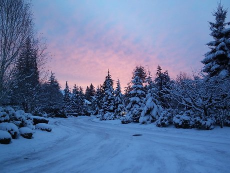 生气勃勃的意思 十五个吊桶 找一张动漫场景大图 主要要素: 冰天雪地