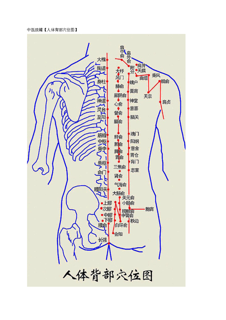 肩颈穴位位置图 肩颈调理 背部三椎图 肩颈按摩图 背部经络疏通