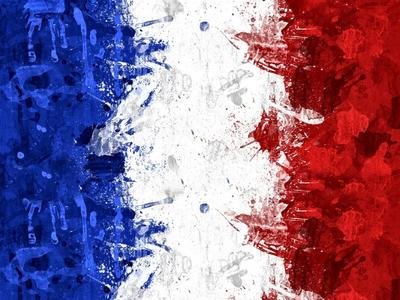 精美的布纹质感法国国旗高清图片 - 素材中国16素材网 法国国旗图标