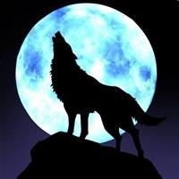 《月夜狼 qq头像》,月夜狼咆哮的 qq头像,月夜狼