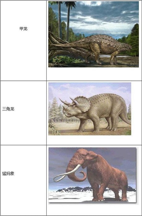 相关搜索 恐龙名称大全 食肉恐龙有哪些 恐龙类型 恐龙大全 恐龙种类
