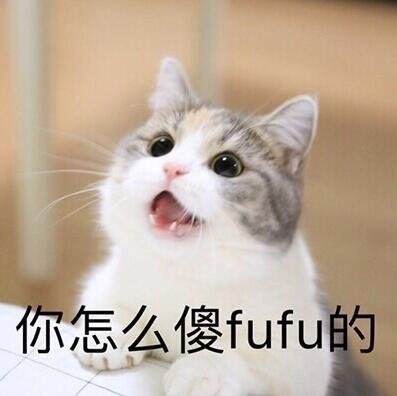 泥怎么撒fufu的 表情包     你怎么傻fufu的猫咪
