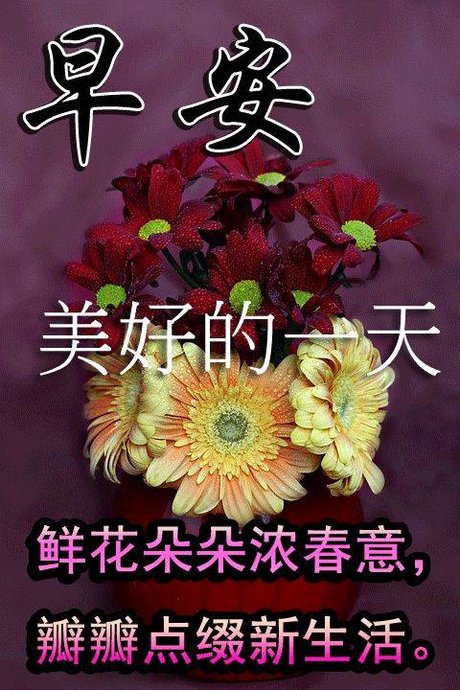 早安问候 7月28日星期日 早上好 问候语表情包  早上好图片 相关搜索