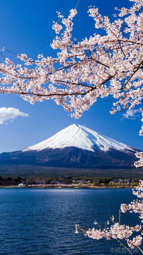 日本富士山