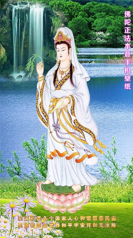 社会佛图片 手机壁纸高清