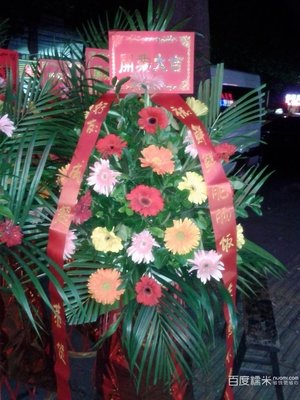 花语花屋 360图片