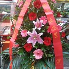 花语花屋 360图片