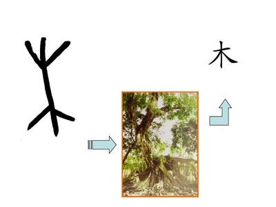 木的象形文字 360图片