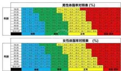 脂肪率 360图片