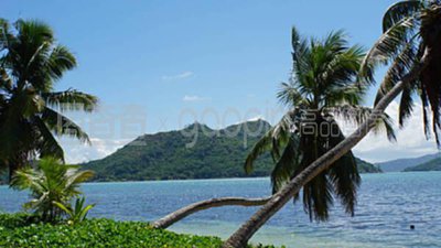 教程分享“新道游拼十有挂吗果然有挂”专业师傅带你详细了解-首码项目网-创业网-全球领先的创业项目网站-淘灵感首码网