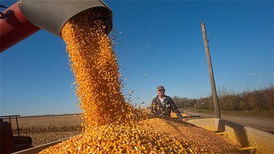 粮农组织2023年食品价格指数均值下降13.7%