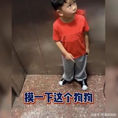 男孩起名张