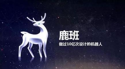 动物公司名字大全