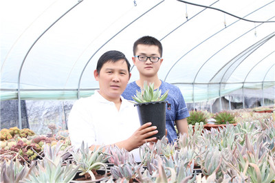 花卉养殖技巧花卉直播,花卉的养殖方法