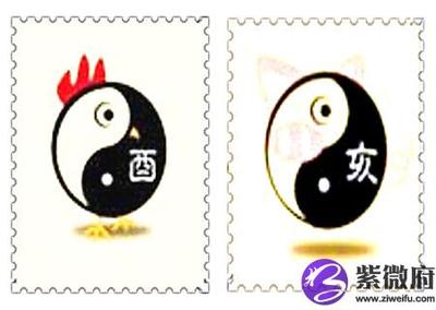 鸡与猪属相合不合