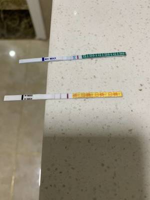 排卵期可以热敷肚子吗