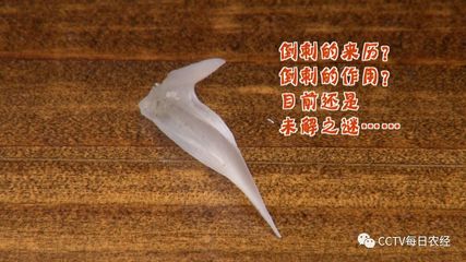 性格天生