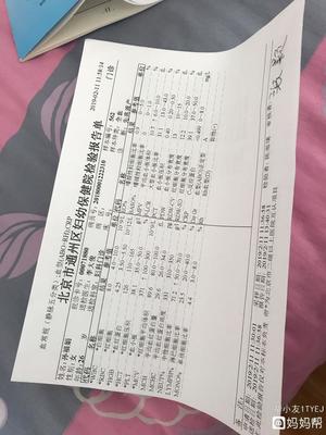 抽血化验怀孕多少钱