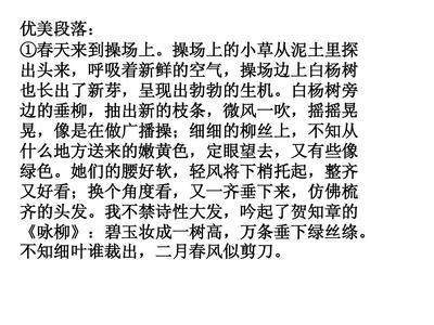 explorative探可以组什么词,木炭可以用什么词来表示?