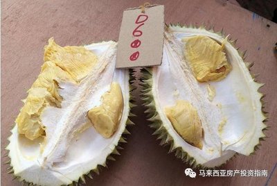 榴莲有苦味是怎么回事
