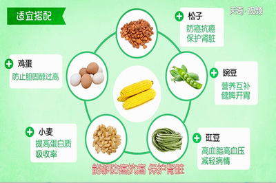 作用和功能的区别