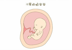 新生儿心跳正常范围是多少正常