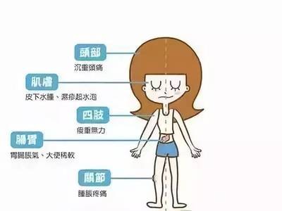 身体有湿气是怎么回事