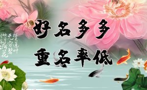 八字缺木缺火女孩名字