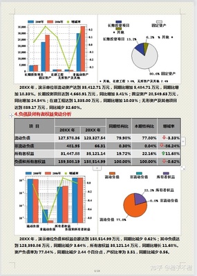 财务报告分析怎么写