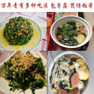 万年青的吃法