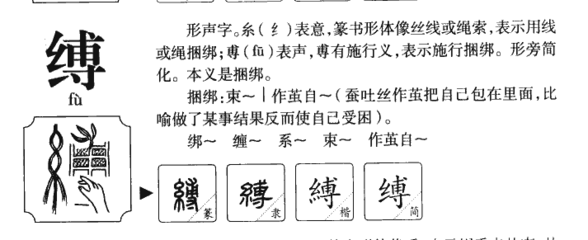博字五行属什么意思