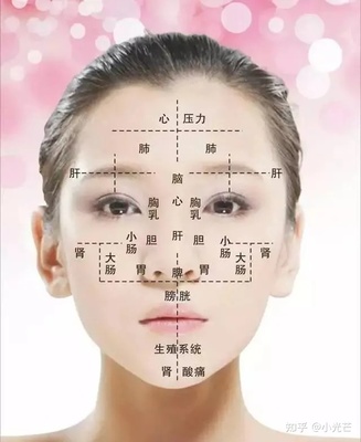 痘痘反射区
