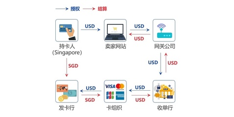 什么网站能用cvv