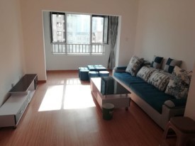 东丽房屋出租