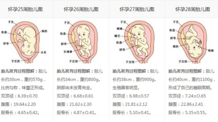 宝宝10个月发育标准
