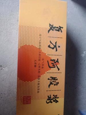 复方阿胶浆孕妇能喝吗