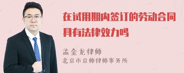 试用期合同有法律效力吗
