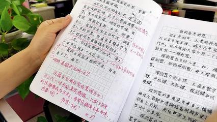 西安怎么选择小学作文400字