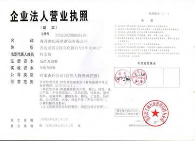 公司的法人代表是什么意思