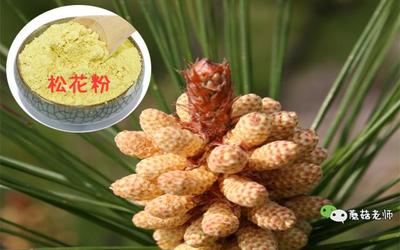 松花粉新生儿可以用吗