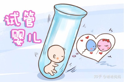 试管宝宝的寿命有多长