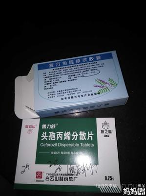 怀孕什么药都不能吃吗