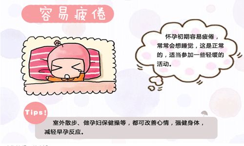 一个月会有孕吐吗