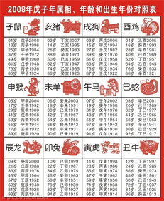 96年什么生肖